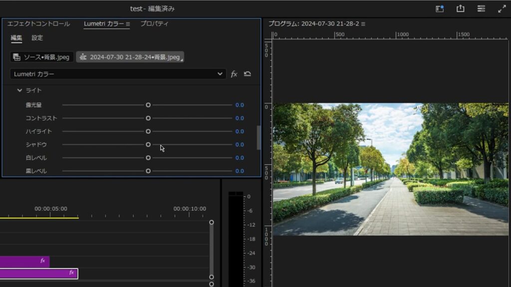 Premiere Pro 色調補正のやり方_ライト