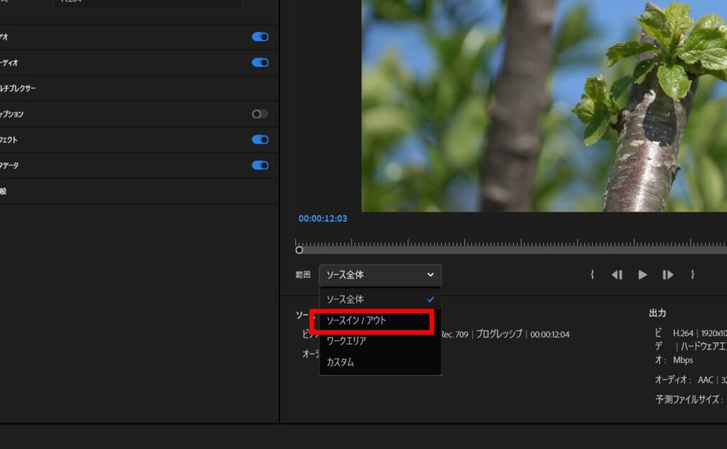 プレミアプロ_書き出した動画が真っ黒になってしまう問題_書き出し範囲を「ソースインアウト」に変更