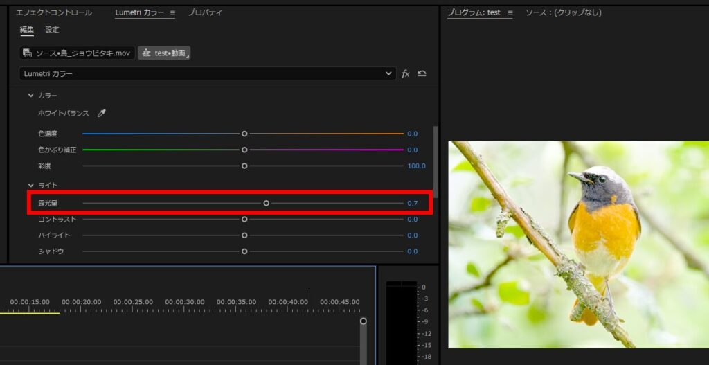 プレミアプロ_一括・自動で明るさ調整をする方法_露光量を大きくする