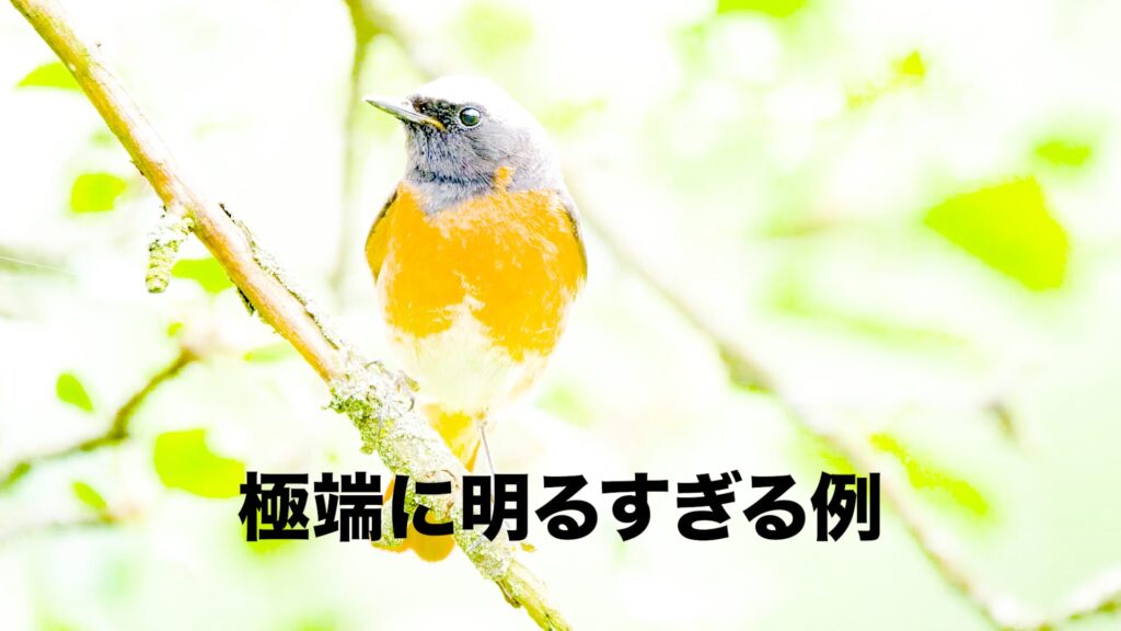 プレミアプロ_一括・自動で明るさ調整をする方法_極端に明るすぎる例