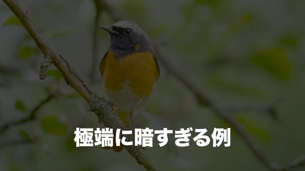 プレミアプロ_一括・自動で明るさ調整をする方法_極端に暗すぎる例