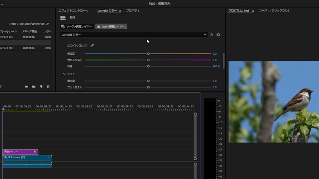 プレミアプロ_調整レイヤーの作り方_調整レイヤーのLumetriカラーの「ライト」を見る