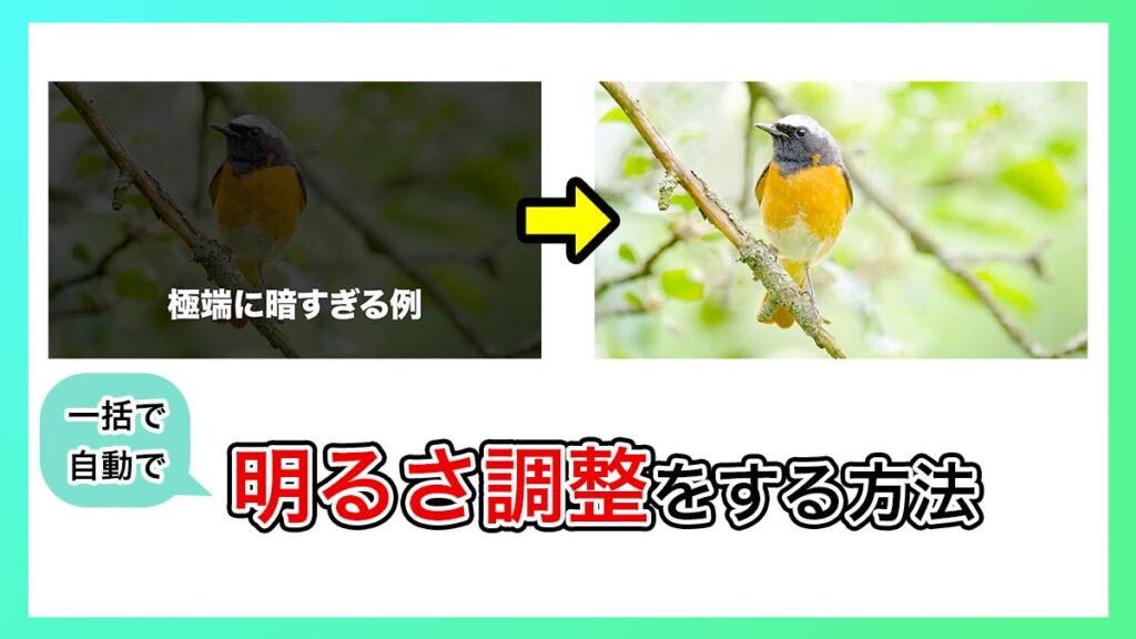 プレミアプロ_一括・自動で明るさ調整をする方法
