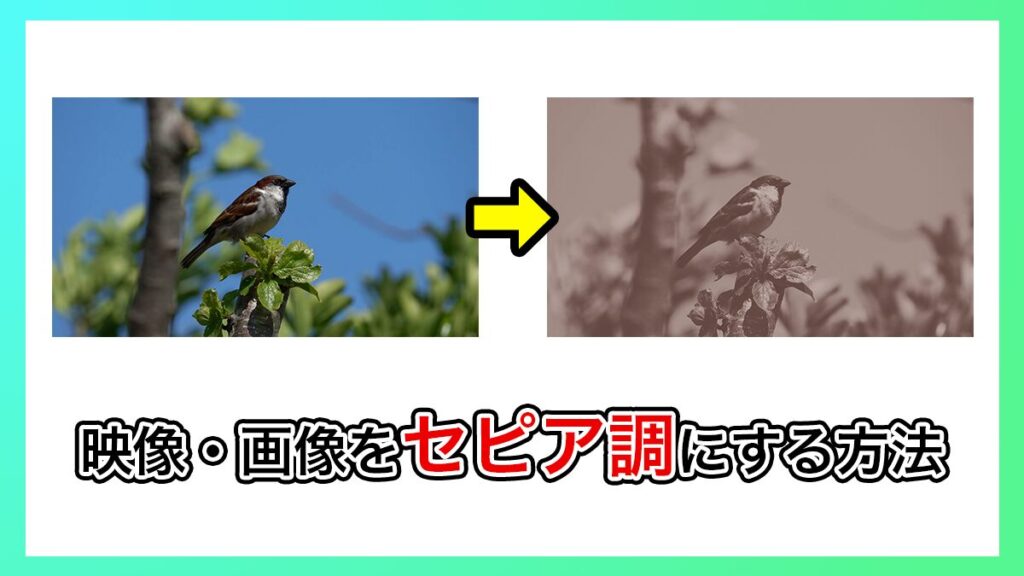 プレミアプロ_映像をセピアにする方法