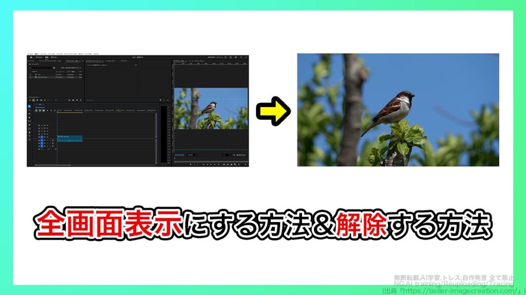プレミアプロ_全画面表示にする方法と解除する方法